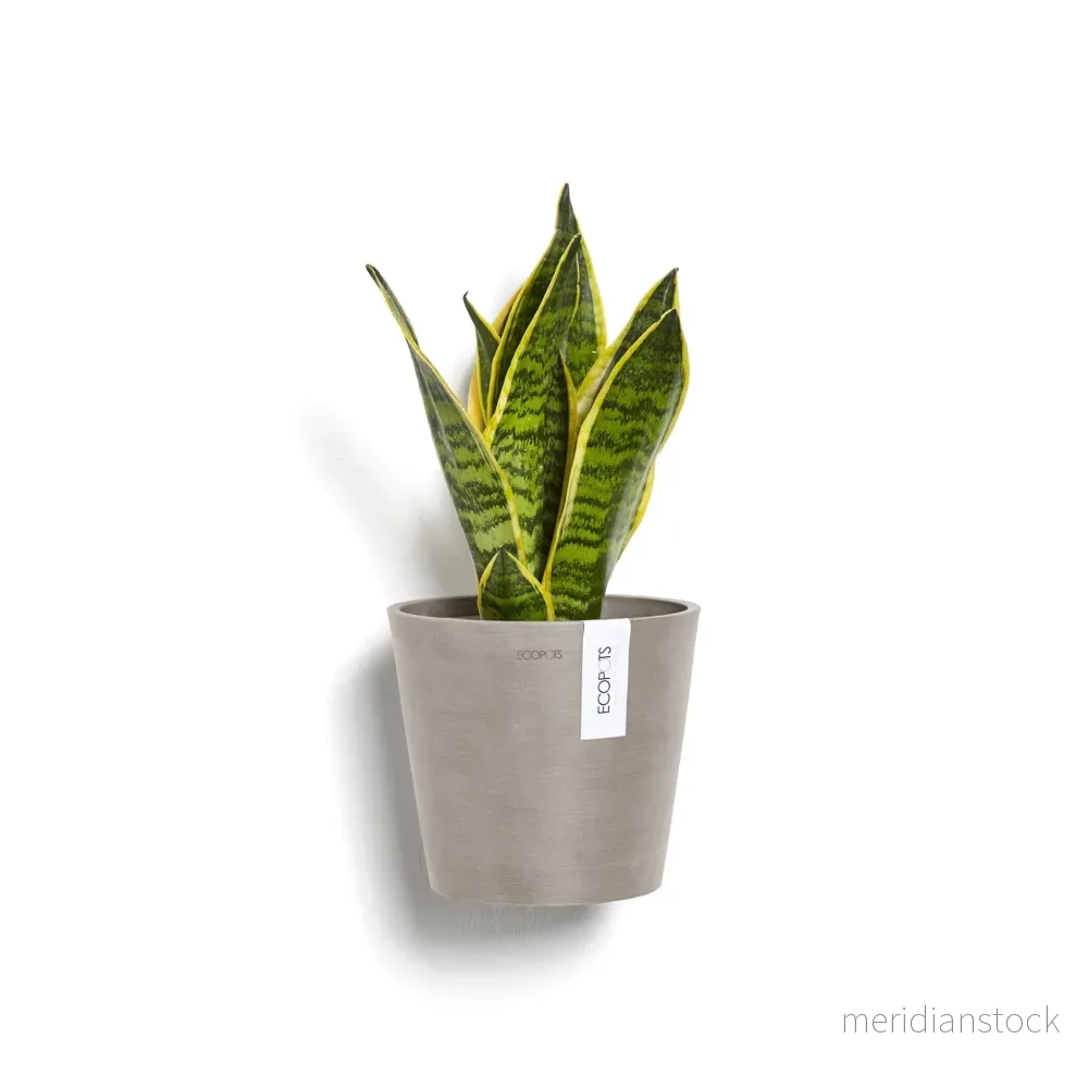 Kruka Amsterdam vägg 20cm taupe Kruka Amsterdam vägg 20cm taupe