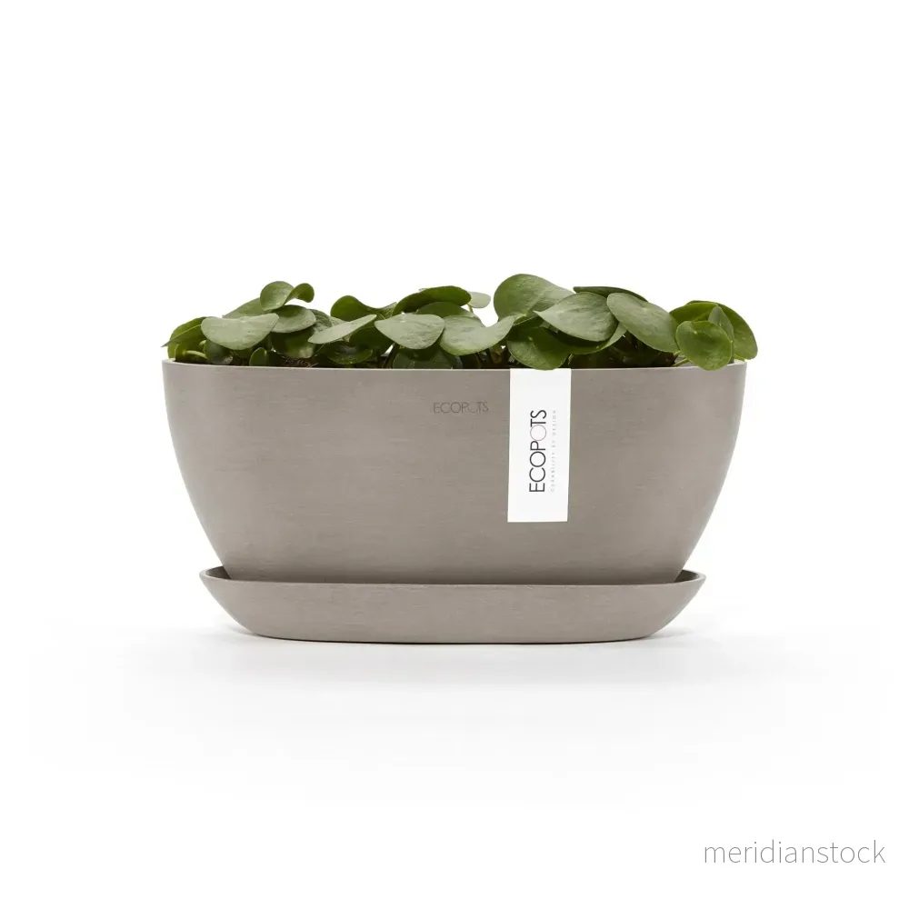 Blomkruka Sofia 30cm Taupe & fat - Bild 2