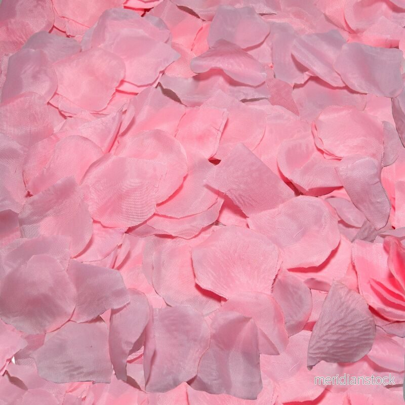 DIABLO PICANTE - 100 PINK PETALS