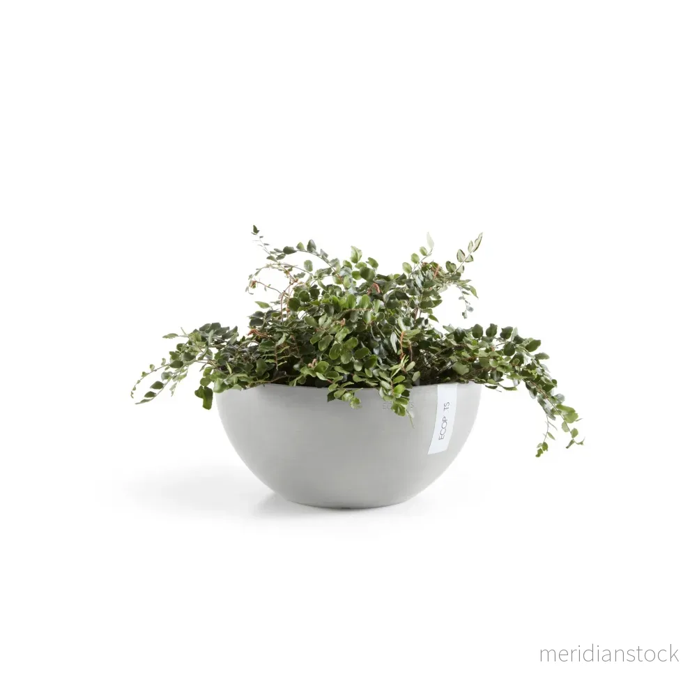 Kruka Bryssel 25cm vitgrå