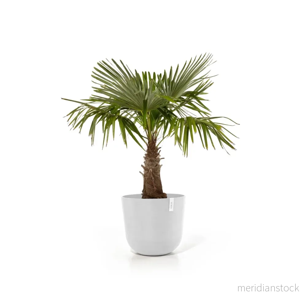 Kruka Oslo 55cm vit