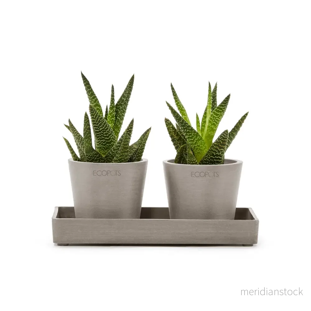 Kruka presentationsbricka 20cm taupe