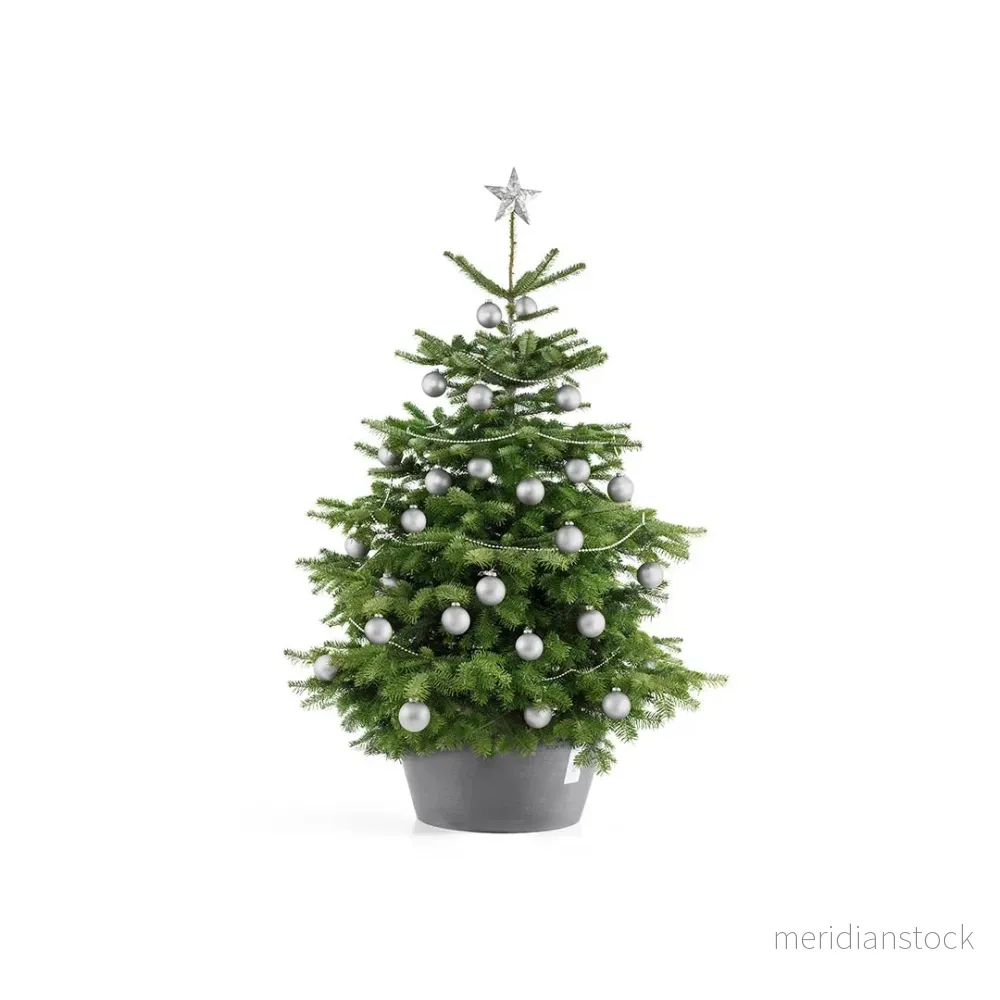 Julgransställ XL grå Julgransställ XL grå