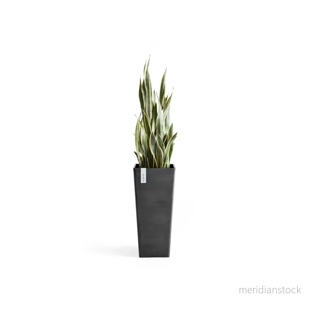 Kruka Rotterdam hög 70cm mörkgrå