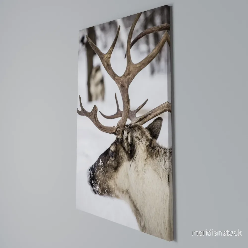 WHISPERS OF FROST Vertical Canvas Print - Bild 3