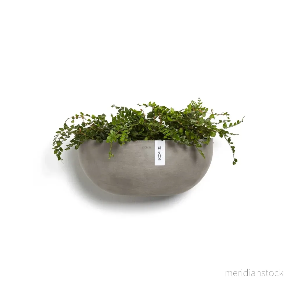 Kruka Sofia vägg 43cm taupe - Bild 2