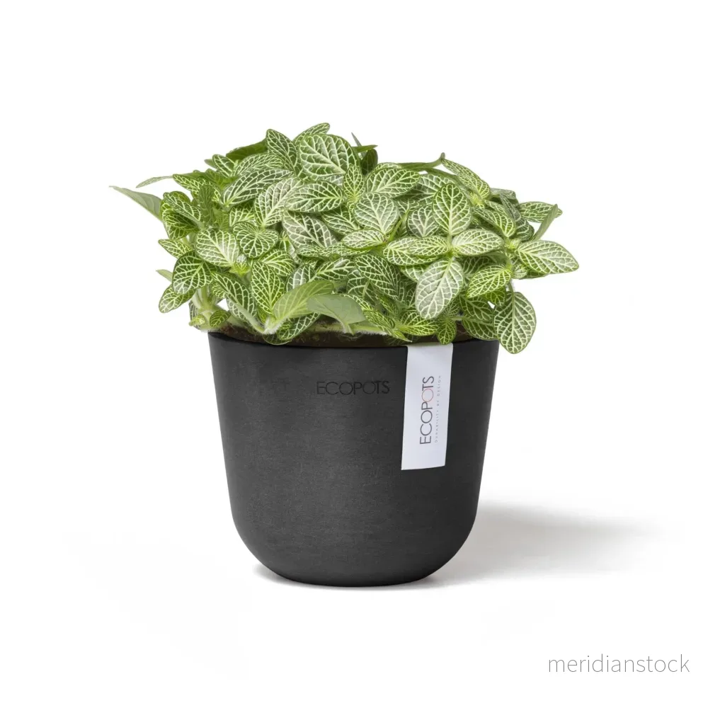 Kruka Oslo 11,5cm mörkgrå - Bild 3