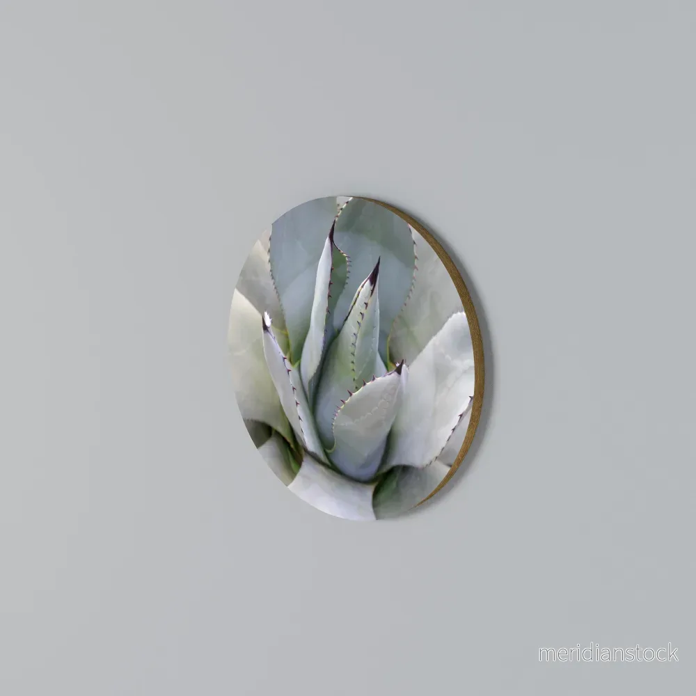 AGAVE ELEGANCE Rund väggdekor - Bild 3
