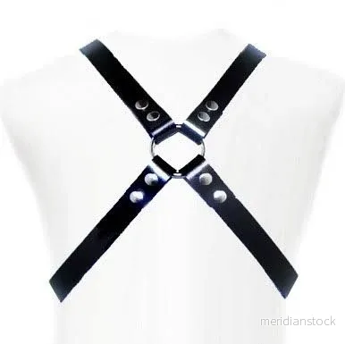LEATHER BODY - BASIC HARNESS - Bild 2