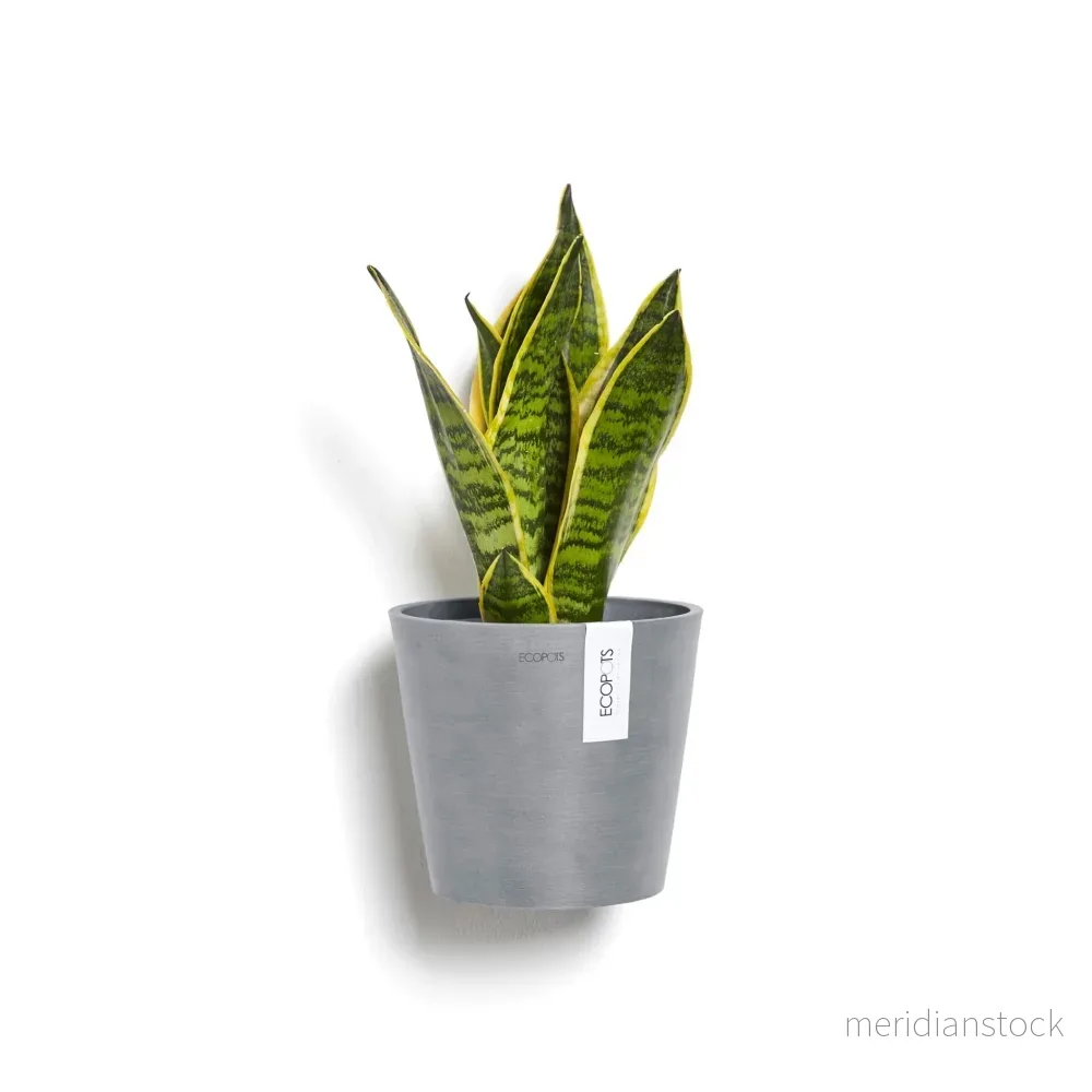 Kruka Amsterdam vägg 20cm blågrå Kruka Amsterdam vägg 20cm blågrå