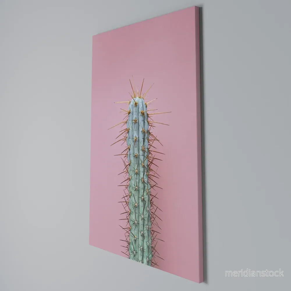 MISTER CACTUS Vertical Canvas Print - Bild 3