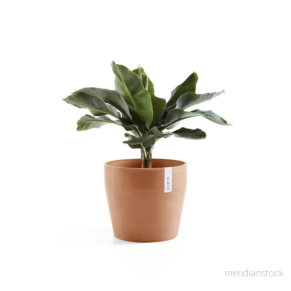 Kruka Sankara 40cm terrakotta