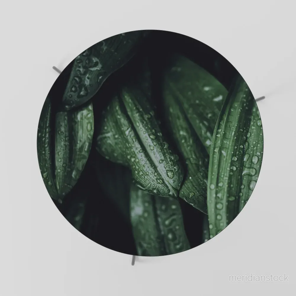 LUSH DROPLET DANCE Soffbord - Bild 2