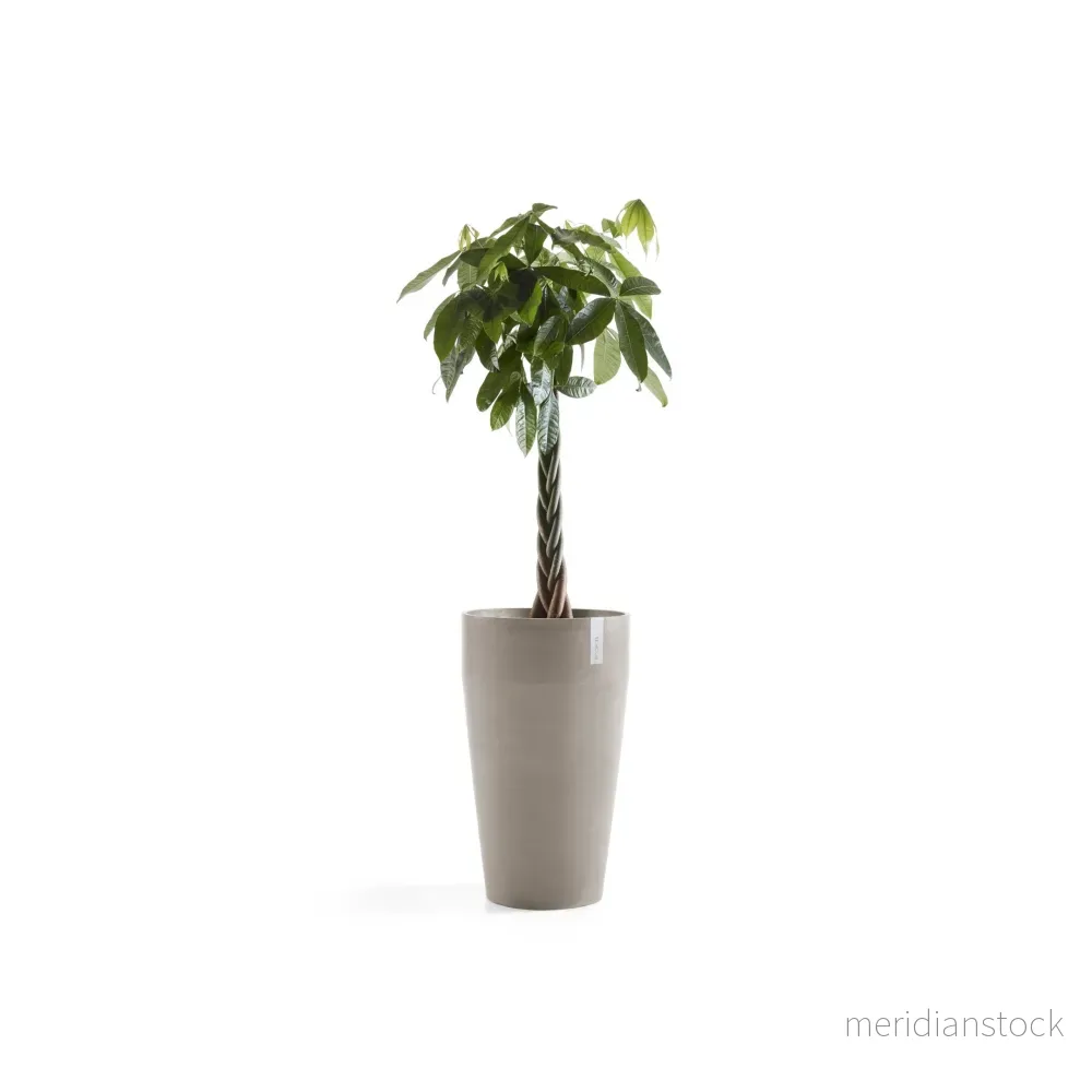 Kruka Sankara hög 75cm taupe
