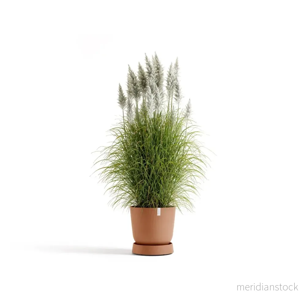 Krukfat Oslo med hjul 45cm terrakotta - Bild 2
