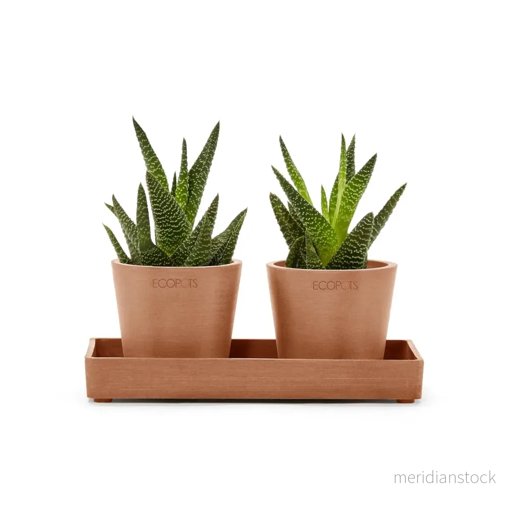 Kruka presentationsbricka 20cm terrakotta