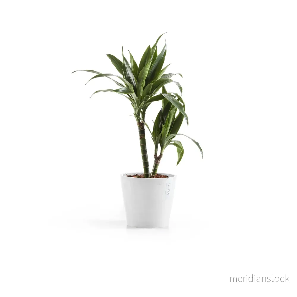 Kruka Amsterdam 20cm vit Kruka Amsterdam 20cm vit