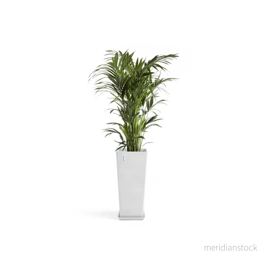 Blomkruka Rotterdam hög 70cm vit - Bild 3