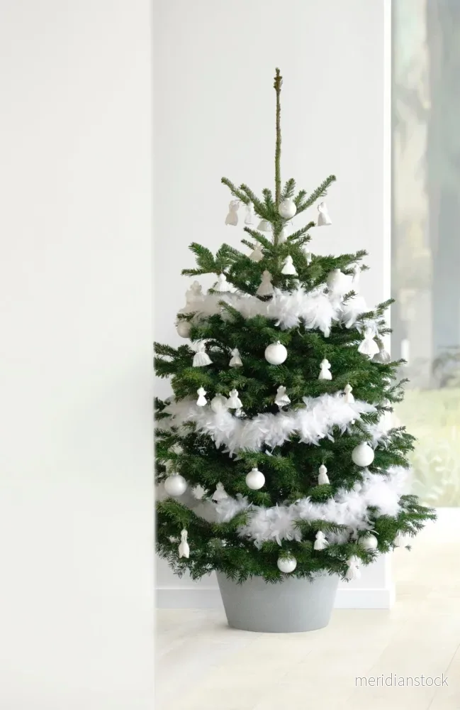 Julgransben XL vit grå - Bild 2