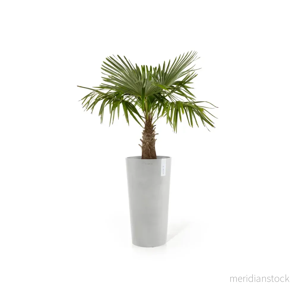 Kruka Amsterdam hög 76cm vitgrå