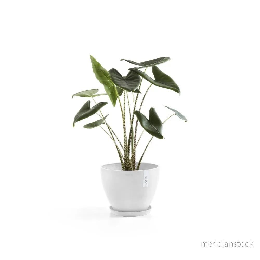 Kruka Antwerpen 40cm vit - Bild 2