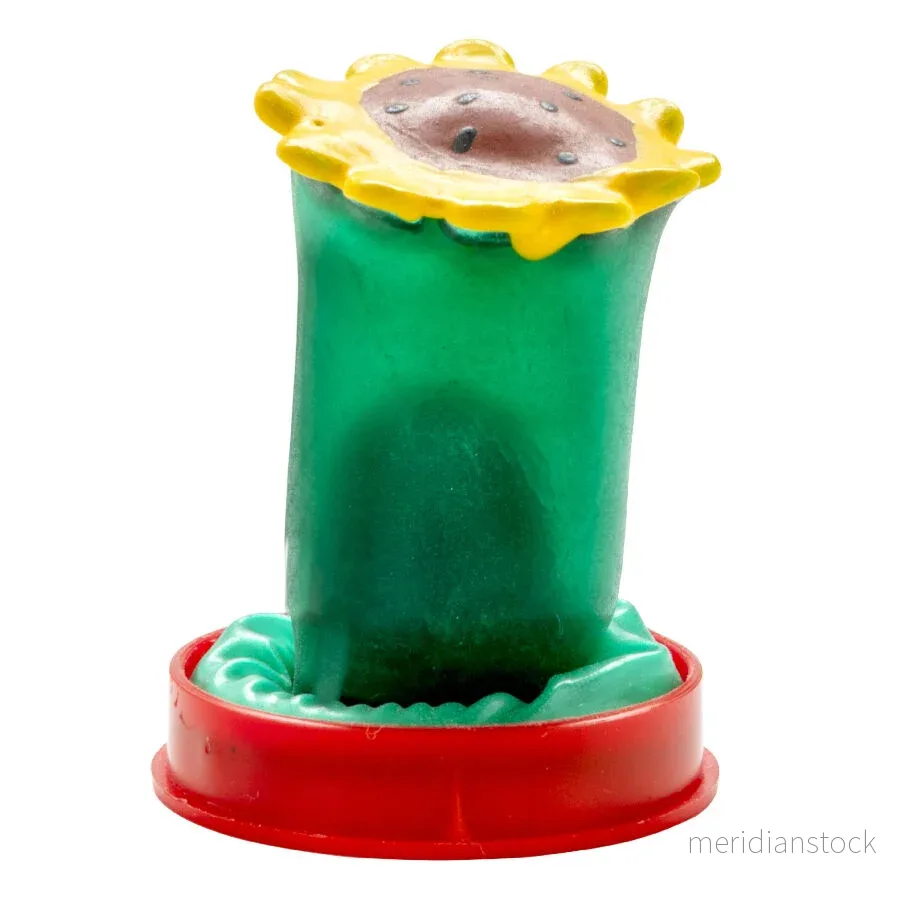 CONDOMERIE - HANDPAINTED NOVELTY CONDOMS SUNFLOWER - Bild 2