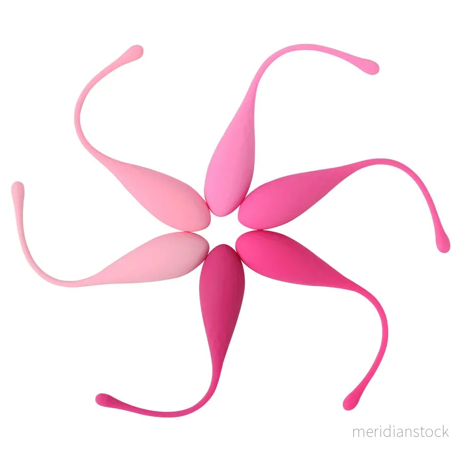 LESLIE - KEGEL FIT PELVIC MUSCLE TRAINING SET 6 WEIGHTS