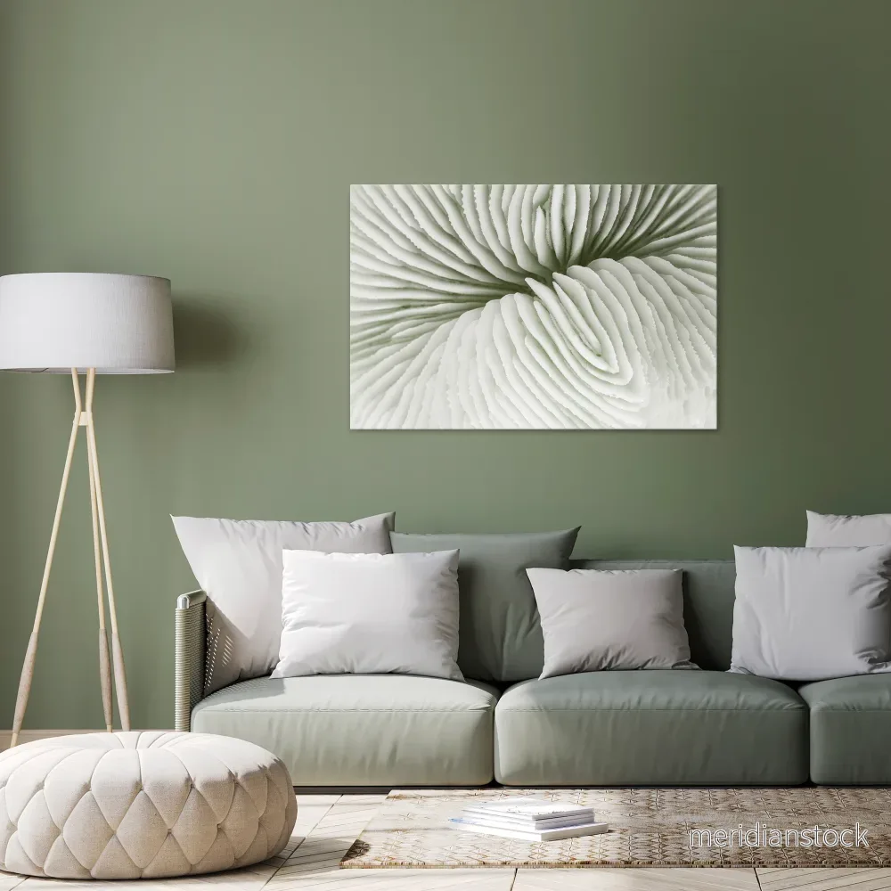 NATURE'S SYMMETRY Horizontal Canvas Print
