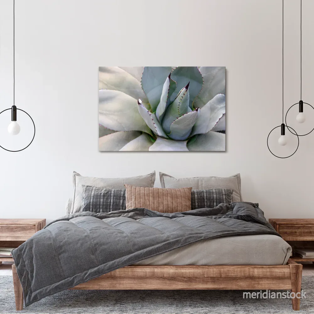 AGAVE ELEGANCE Horizontal Canvas Print