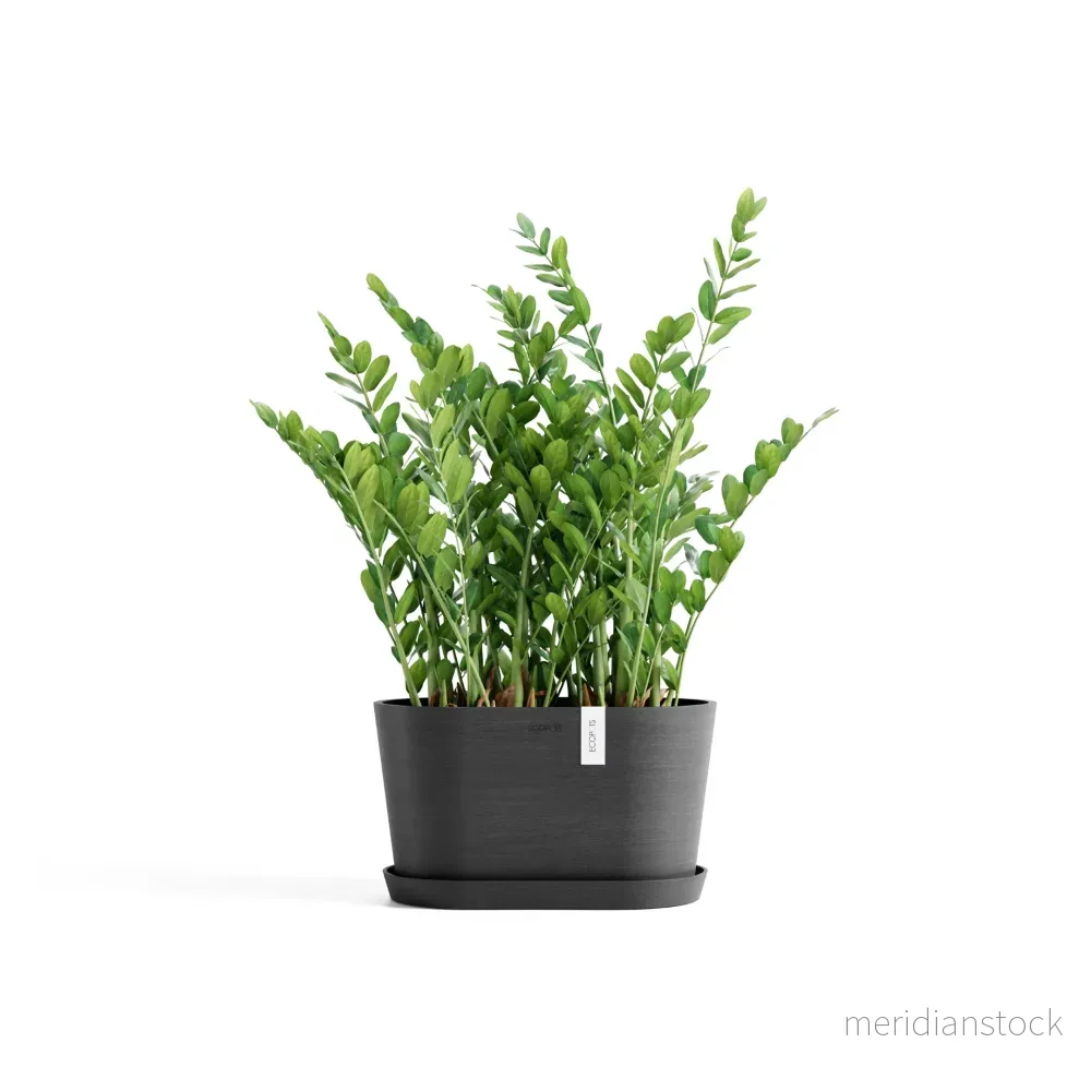 Kruka Tokyo 30cm mörkgrå - Bild 2