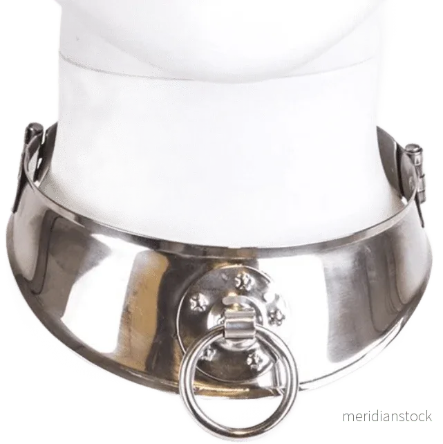 METAL HARD - RESTRAINT COLLAR WITH RING - Bild 3