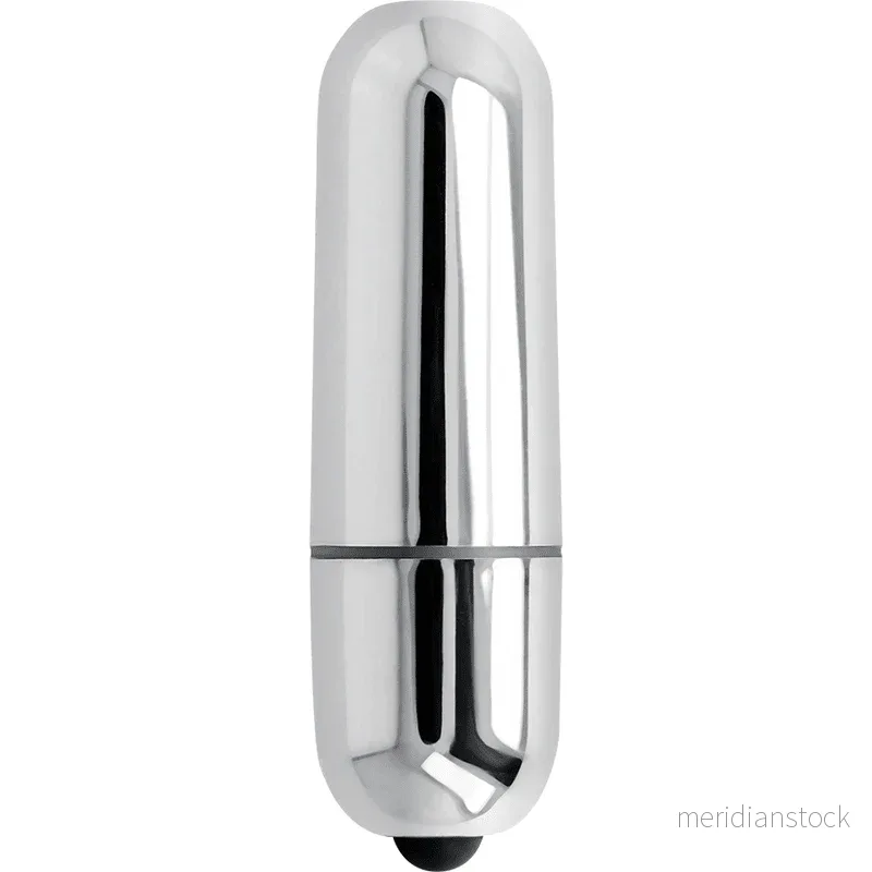 ONLINE - MINI BULLET VIBE SILVER
