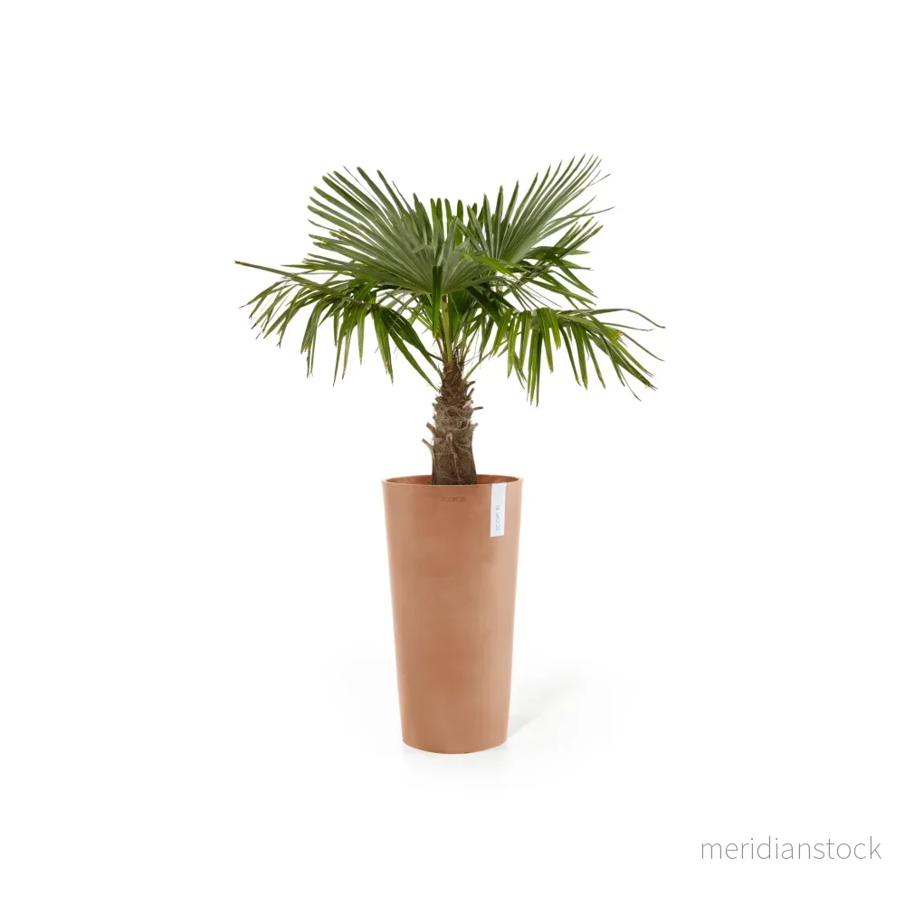 Kruka Amsterdam hög 76cm terrakotta Kruka Amsterdam hög 76cm terrakotta