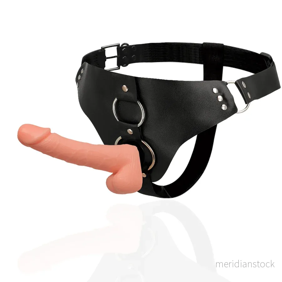 HARNESS ATTRACTION - RNES TAYLOR DELUXE 18 CM -O- 4.5 CM