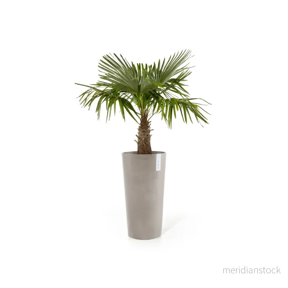 Kruka Amsterdam hög 76cm taupe