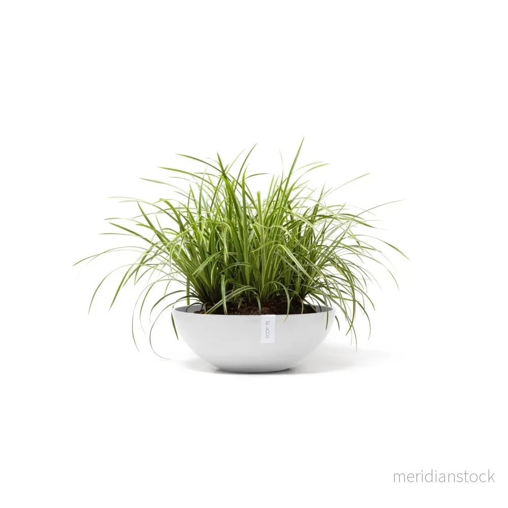 Kruka Wien 50cm vit