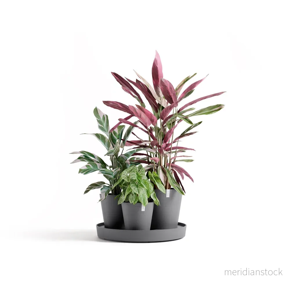 Kruka Dubai 56cm grå Kruka Dubai 56cm grå