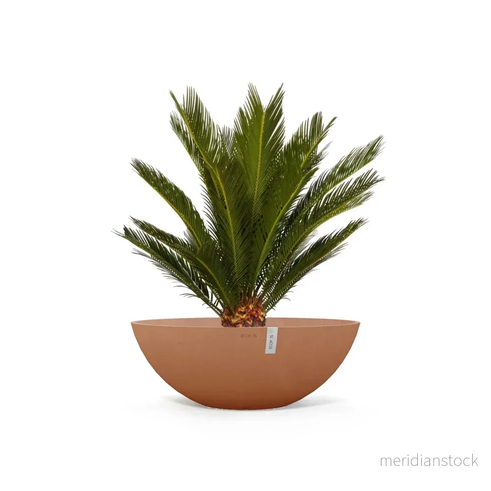 Kruka Wien 70cm terrakotta