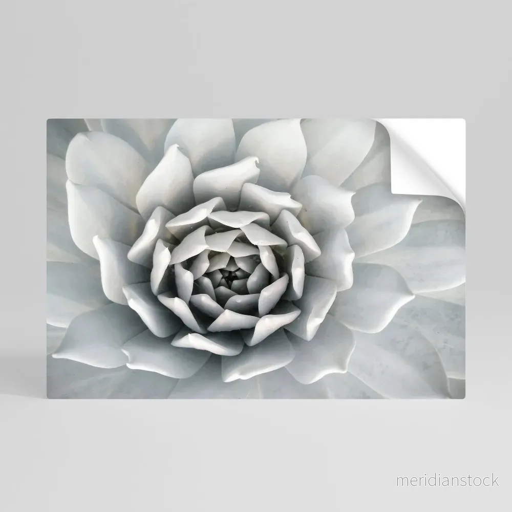 ELEGANT PETAL SWIRL Självhäftande Horisontell Poster ELEGANT PETAL SWIRL Självhäftande Horisontell Poster