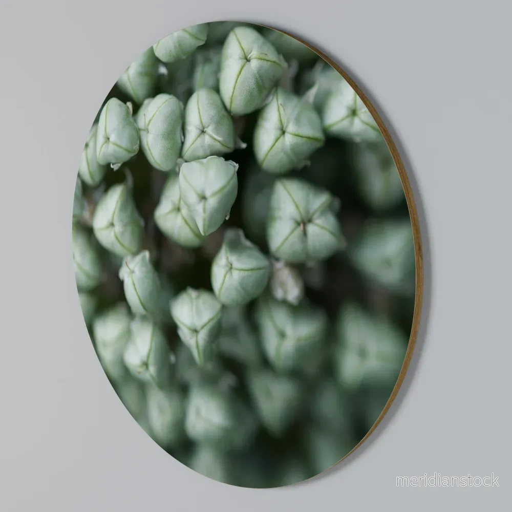 TEXTURED GREEN TIDBITS Rund väggdekor