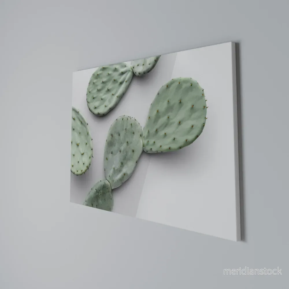 CACTUS DREAMSCAPE Horizontal Canvas Print - Bild 3