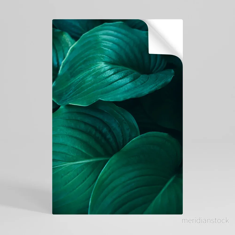 SUBTLE BOTANICAL HUES Självhäftande Vertikal Poster - Bild 3