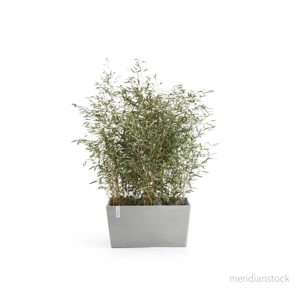 Kruka Paris 80cm vitgrå