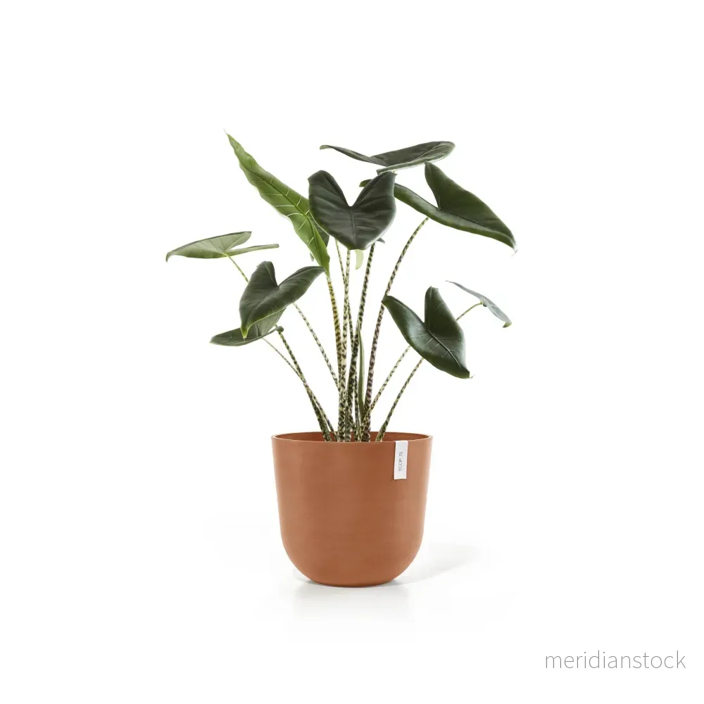 Kruka Oslo 45cm terrakotta