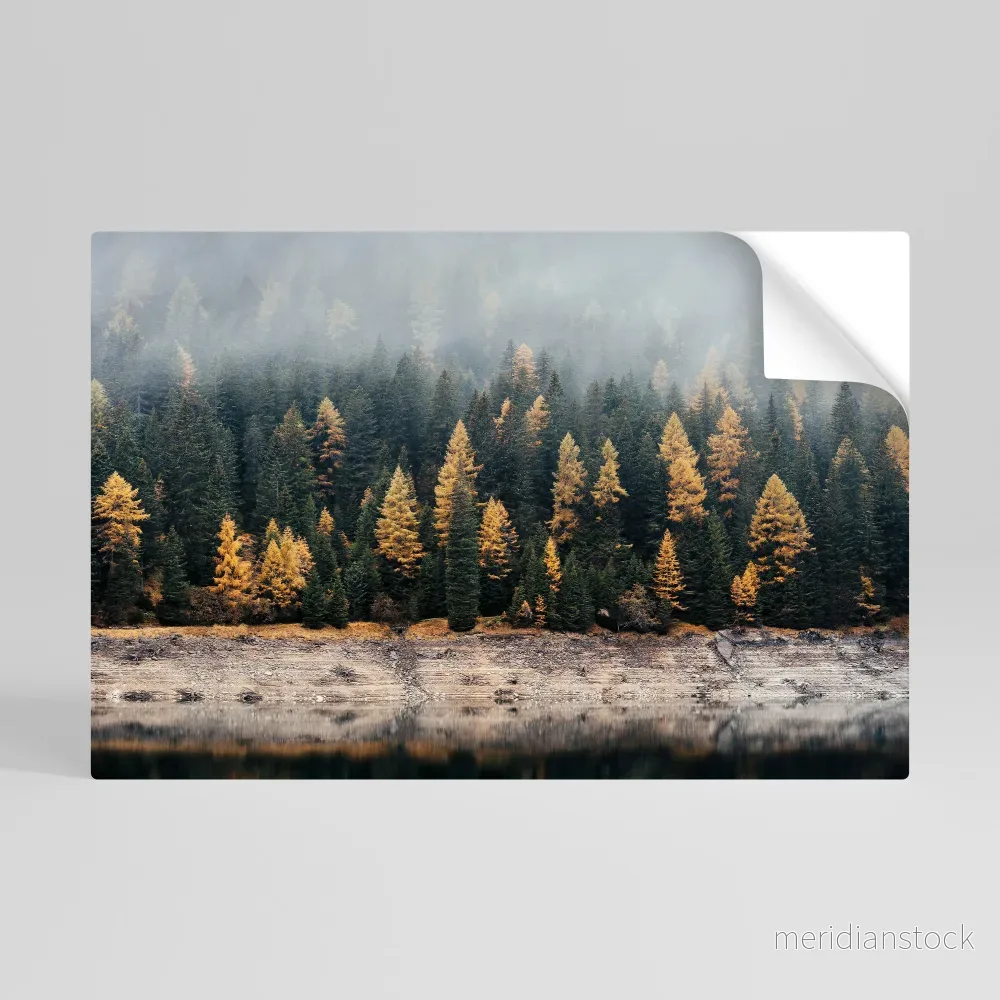 GOLDEN TREES IN FOG Självhäftande Horisontell Poster - Bild 3