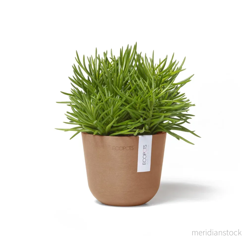 Kruka Oslo 11,5cm terrakotta