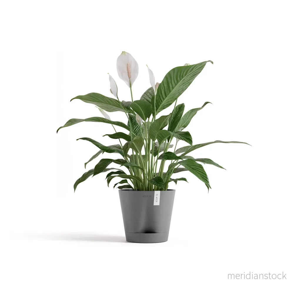 Kruka Venedig 2.0 20cm grå
