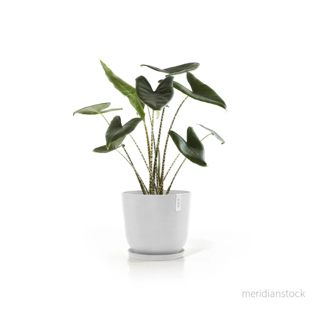 Kruka Oslo 45cm vit - Bild 2