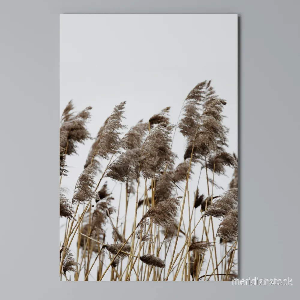 DANCE OF REEDS Vertical Canvas Print - Bild 3