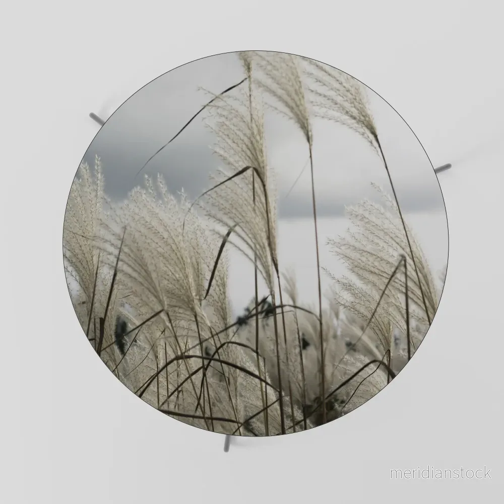 CLOUDS ABOVE GRASS Soffbord - Bild 2